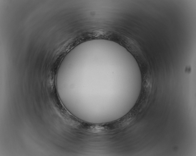 X0000111510607200907281316