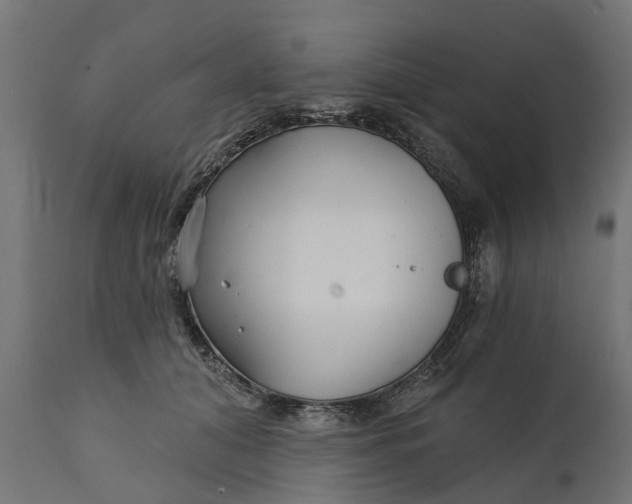X0000111510608200907281316