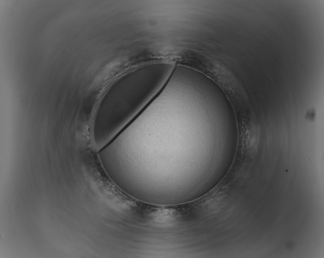 X0000111510609200907281316