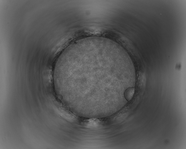 X0000111510612200907281316