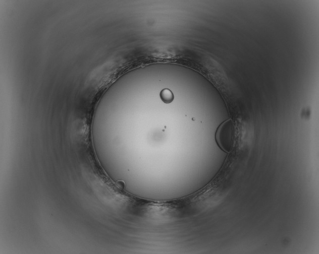 X0000111510614200907281316