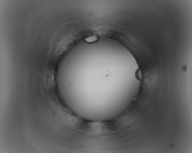 X0000111510615200907281316