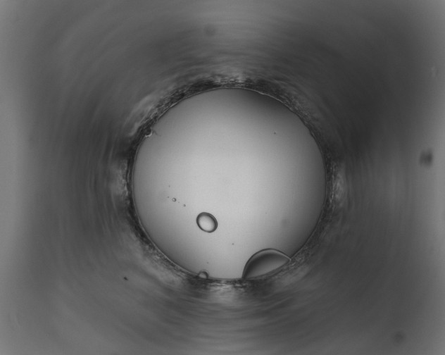 X0000111510616200907281316