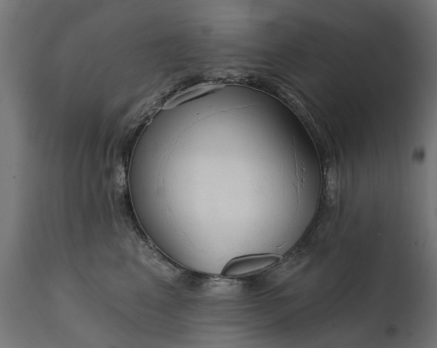 X0000111510617200907281316