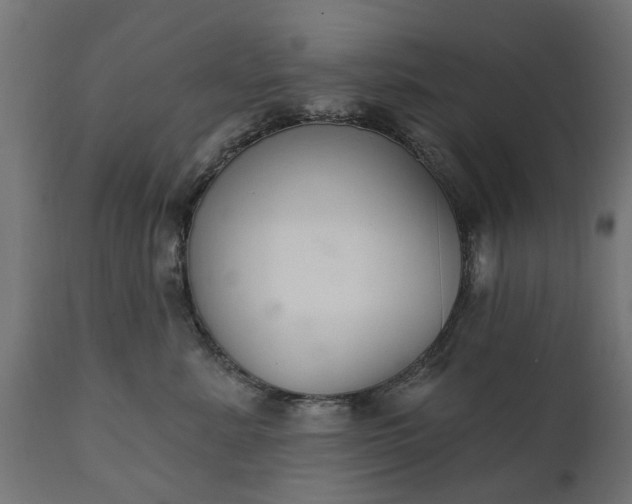 X0000111510619200907281316