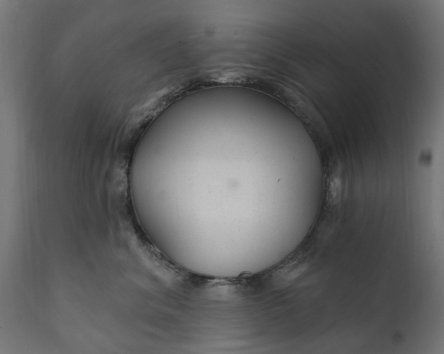 X0000111510620200907281316