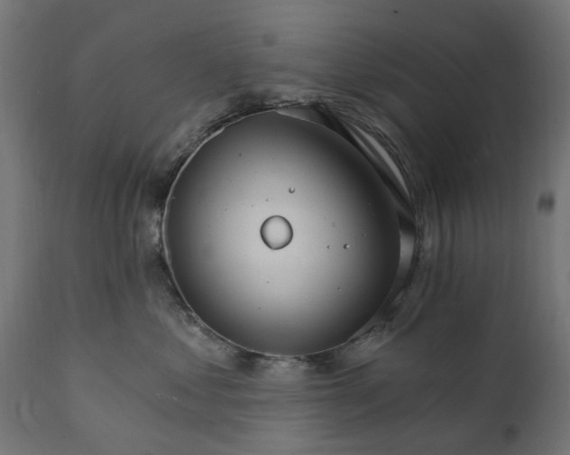 X0000111510621200907281316