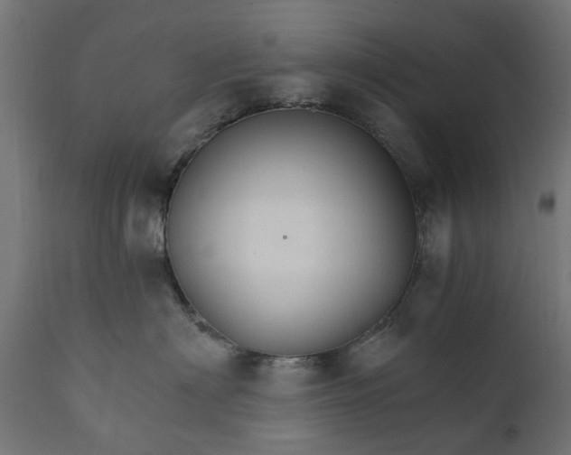 X0000111510622200907281316