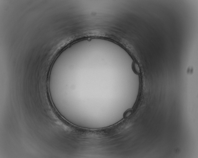 X0000111510625200907281315