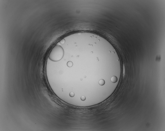 X0000111510627200907281315