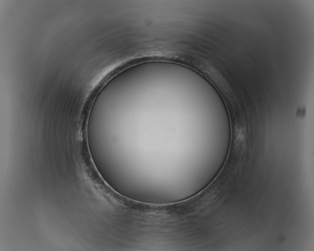 X0000111510628200907281315