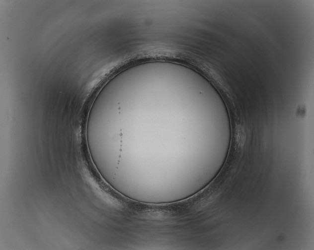 X0000111510629200907281315