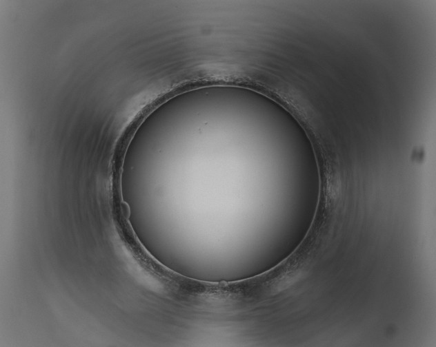 X0000111510630200907281315