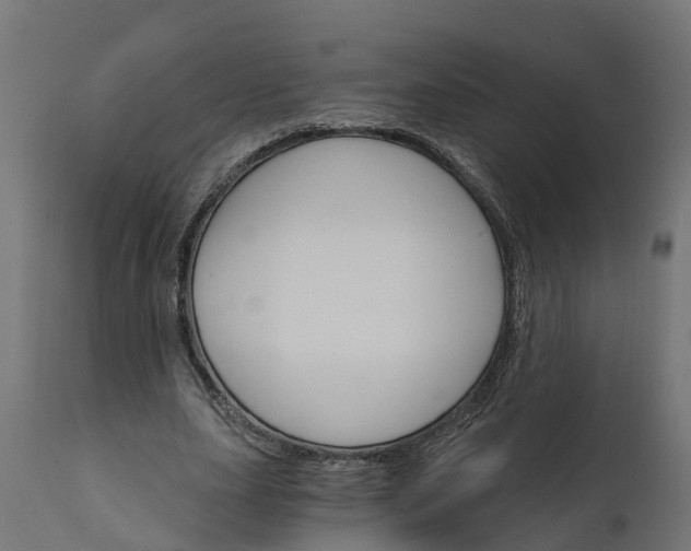X0000111510631200907281315