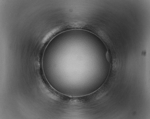 X0000111510634200907281315
