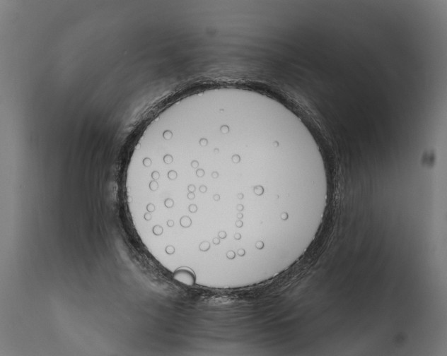 X0000111510635200907281315