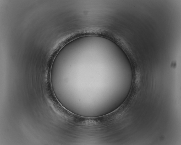X0000111510636200907281315