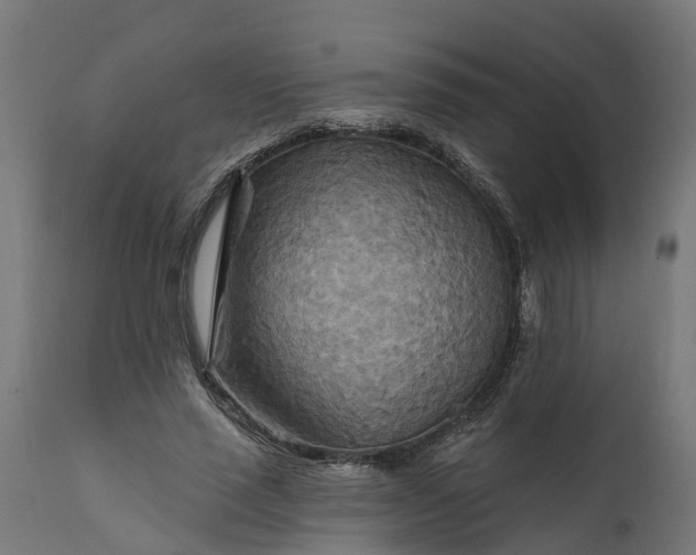 X0000111510637200907281315