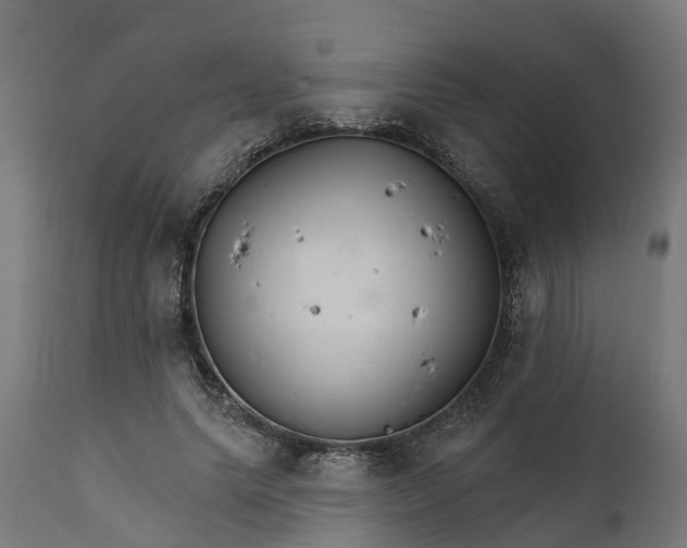 X0000111510639200907281315