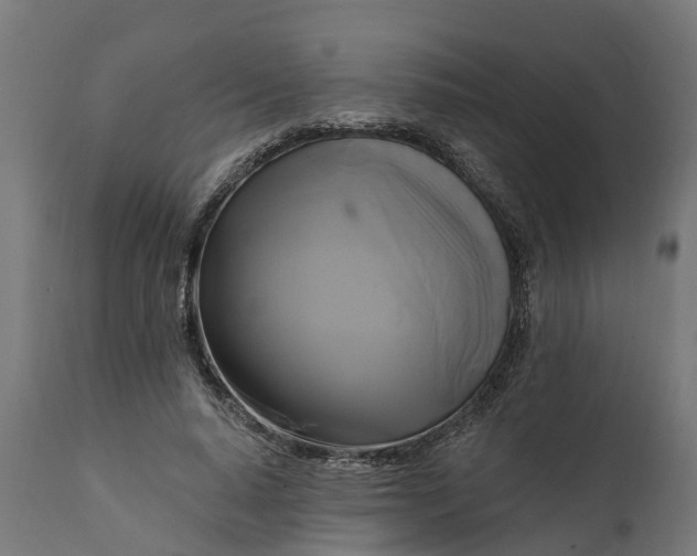 X0000111510640200907281315
