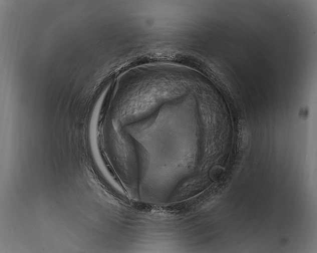 X0000111510641200907281315