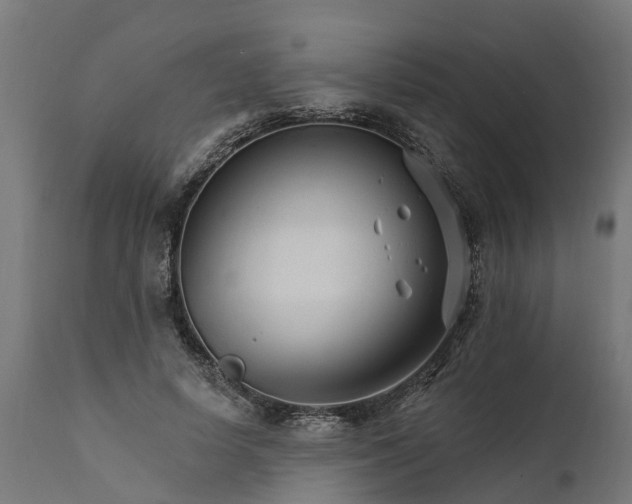 X0000111510642200907281315