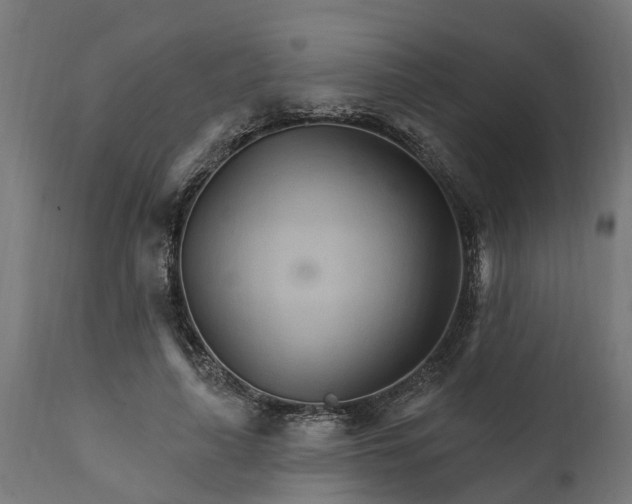 X0000111510643200907281315