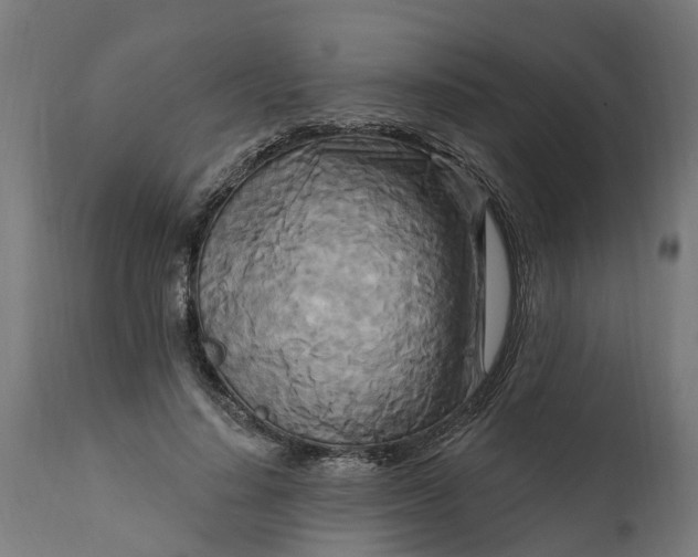 X0000111510644200907281315