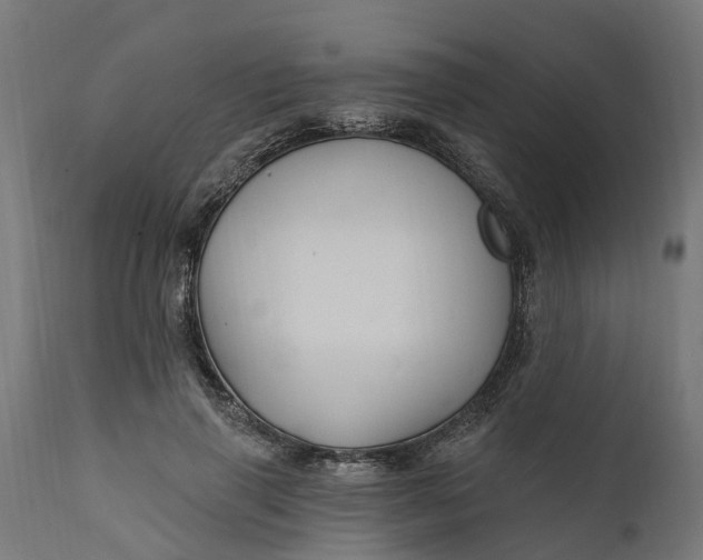 X0000111510645200907281315