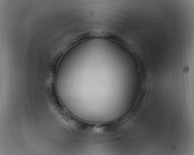 X0000111510647200907281315