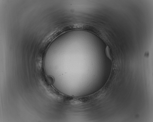 X0000111510648200907281315