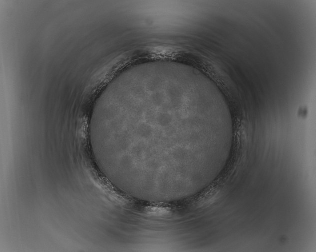 X0000111510649200907281315