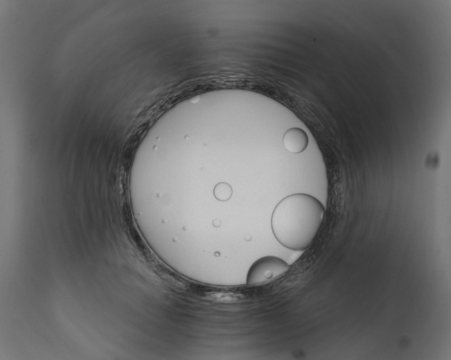 X0000111510654200907281315