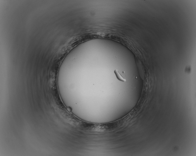 X0000111510656200907281315