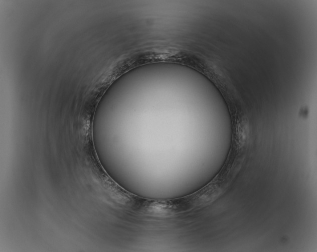 X0000111510657200907281315