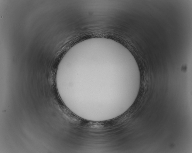 X0000111510658200907281315
