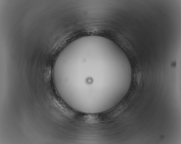 X0000111510660200907281315