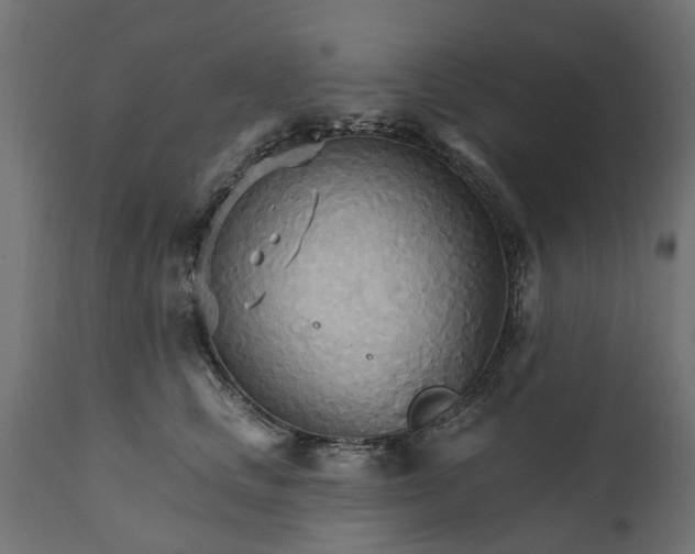 X0000111510661200907281315