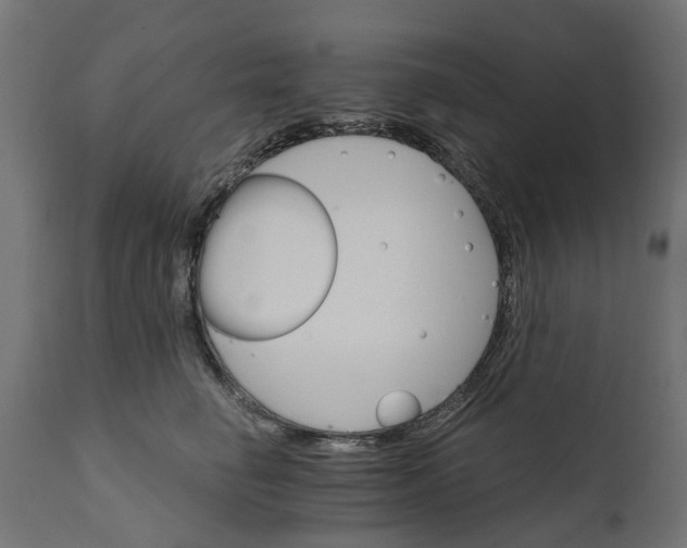 X0000111510662200907281315