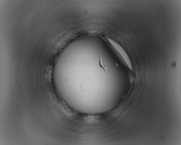 X0000111510664200907281315