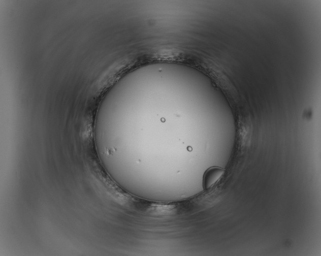 X0000111510665200907281315