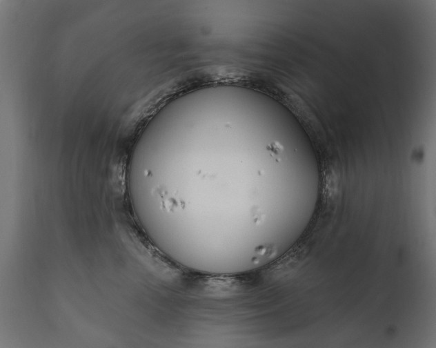 X0000111510666200907281315