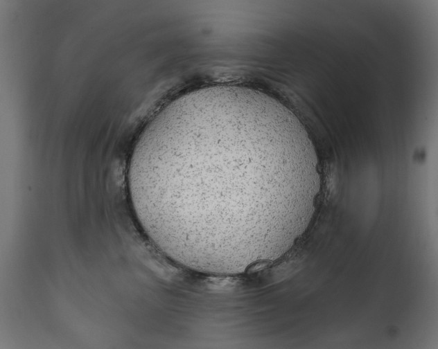 X0000111510667200907281315