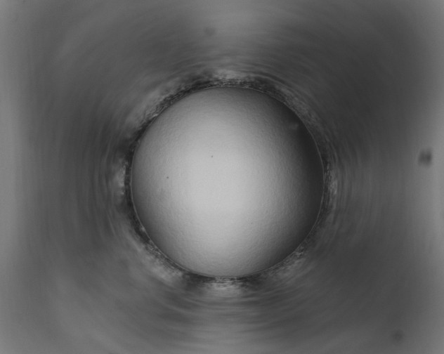 X0000111510668200907281316