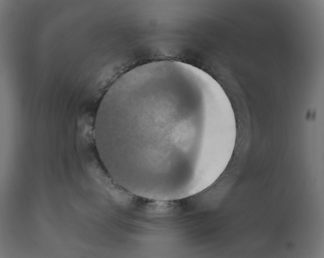 X0000111510672200907281316