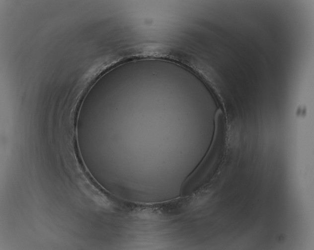 X0000111510673200907281315