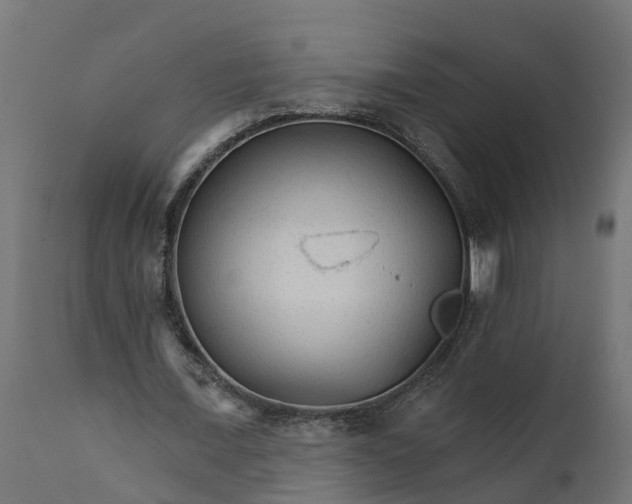 X0000111510675200907281315