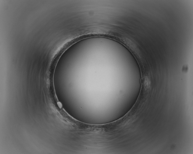 X0000111510676200907281315