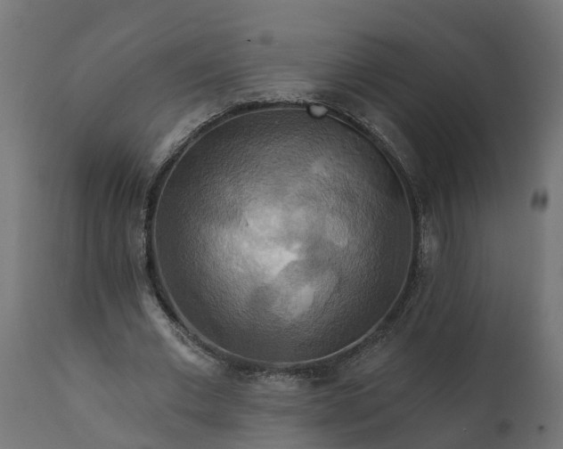 X0000111510677200907281315