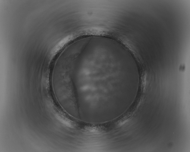 X0000111510679200907281314